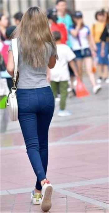 以诸葛大力为女主小说