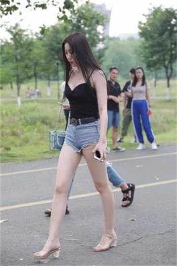风信楼手机版破解