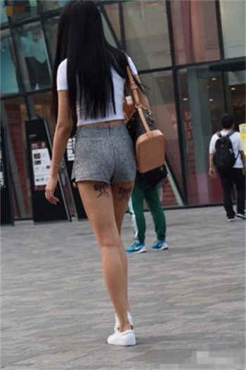 收服by白芷陈流