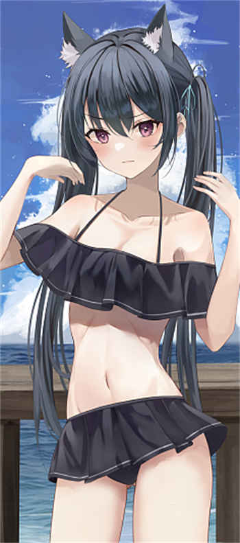 真三国无双吕玲绮本子