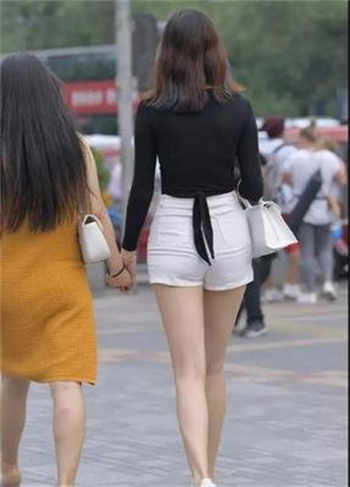 300mium高颜值车牌