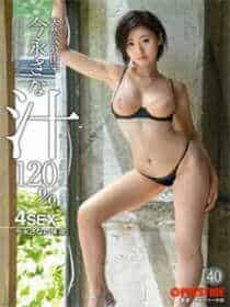 仙踪林视频欢迎您网页