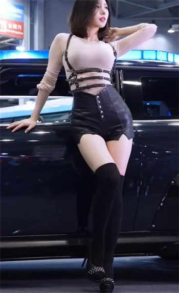 李宗全集手机在线观看